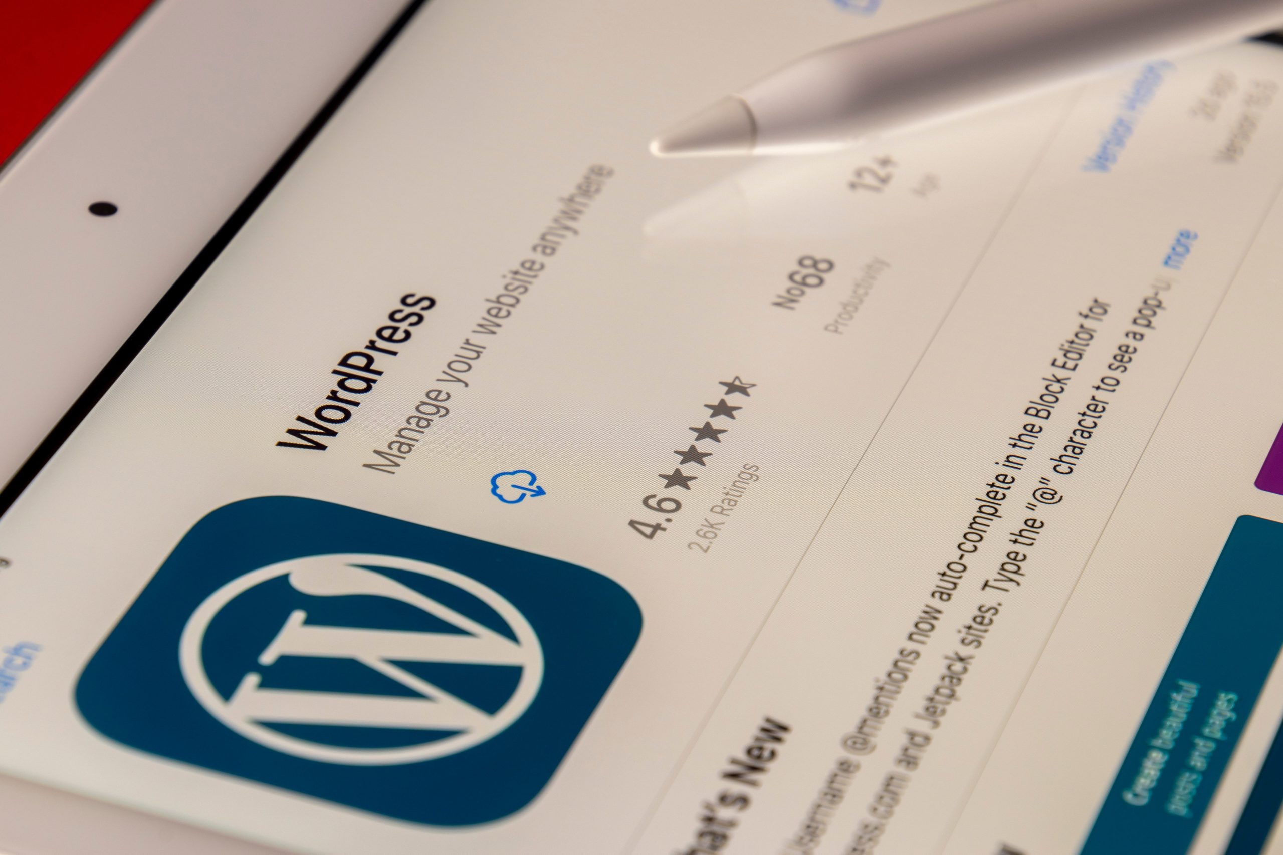 WordPress Admin Keeps Redirecting To Homepage? The Solution