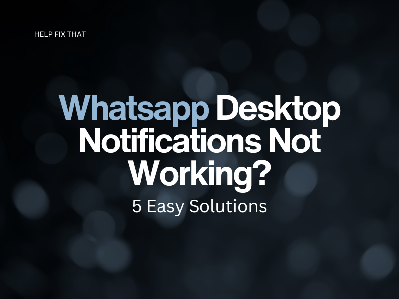 Whatsapp Desktop Notifications Not Working? 5 Easy Solutions
