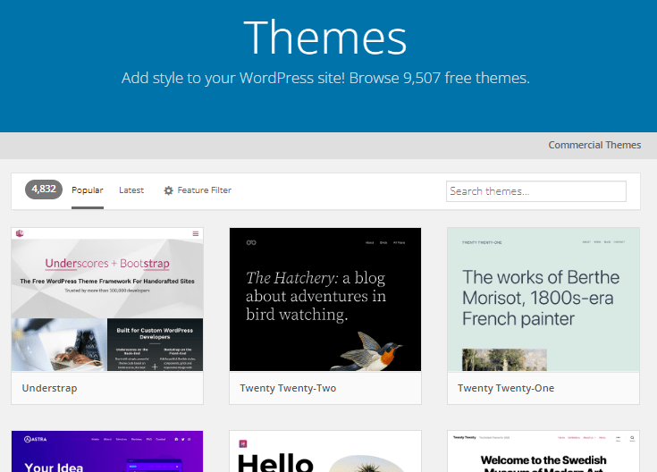 Why doesn't my WordPress theme look like the demo theme?