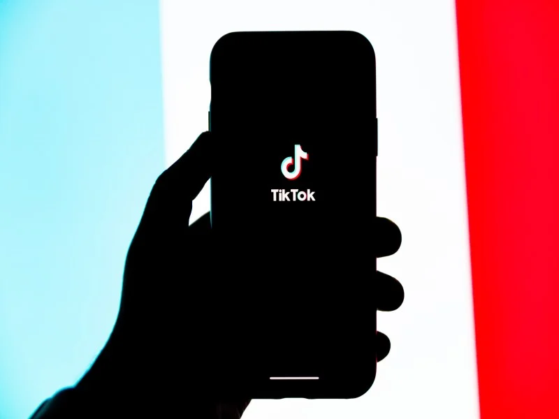 the tiktok app