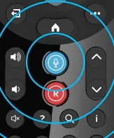 sky voice button on remote