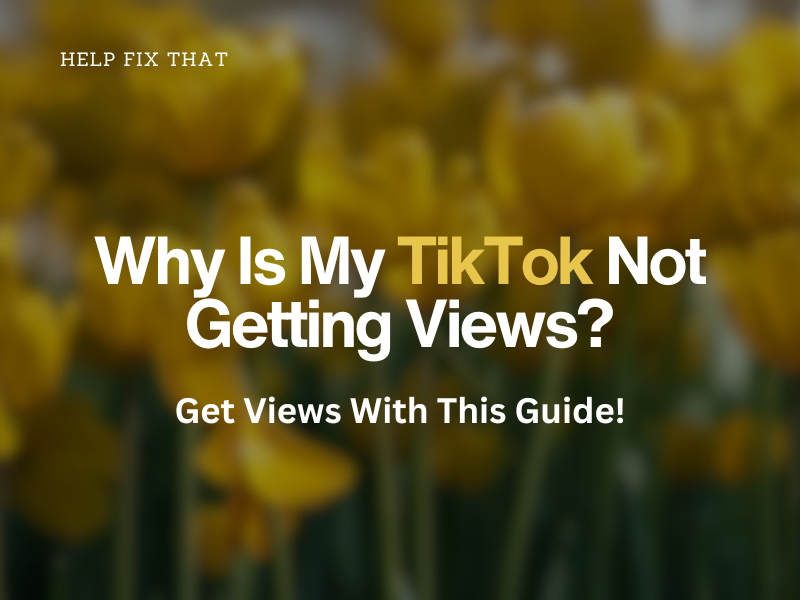Why Is My TikTok Not Getting Views? Get Views With This Guide!