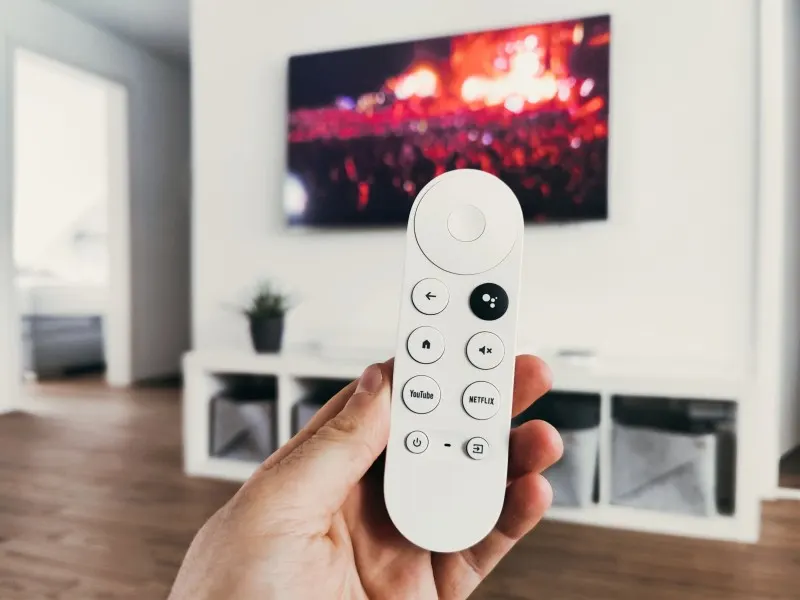 person holding tv remote