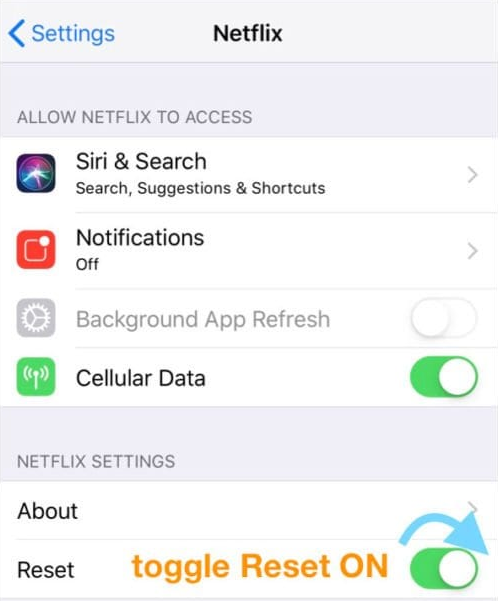 mobile data netflix allow access