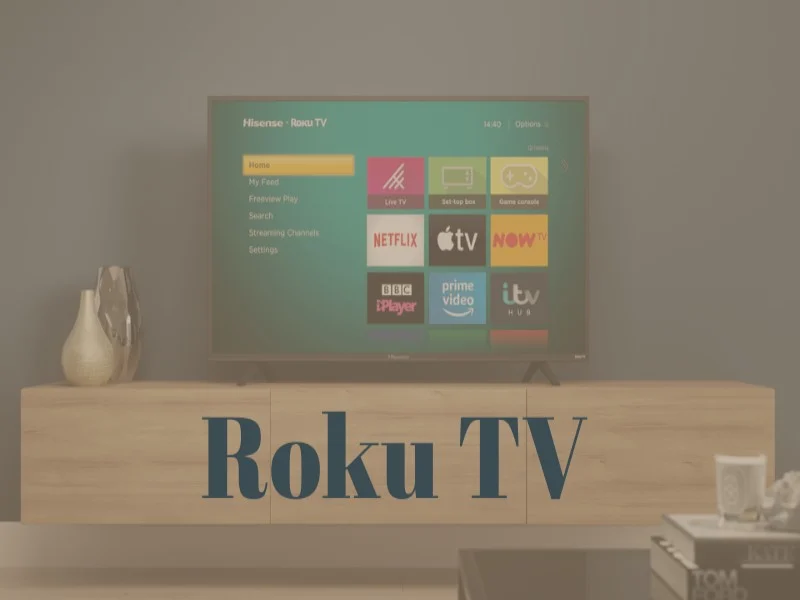 Roku TV Black Screen With Sound