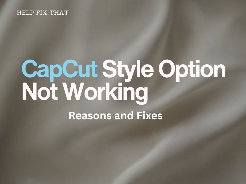 CapCut Style Option Not Working
